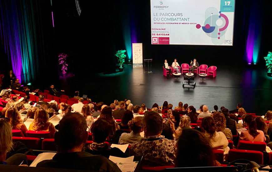 1re journée interfaces Psychiatrie et MédicoSocial | © FERREPSY Occitanie