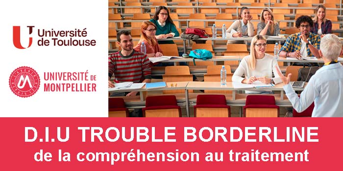 D.I.U. Trouble borderline : de la compréhension au traitement (2026-2027)